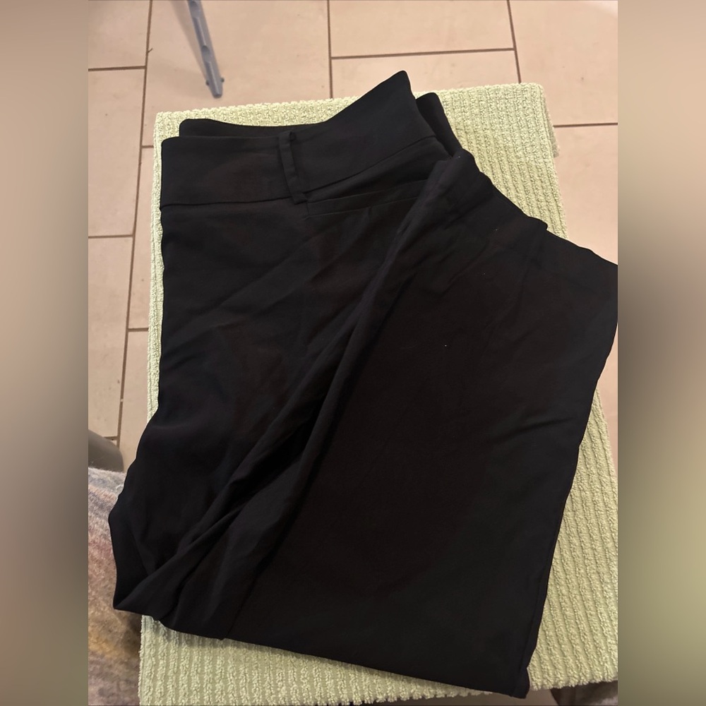 Lane Bryant Capri 22